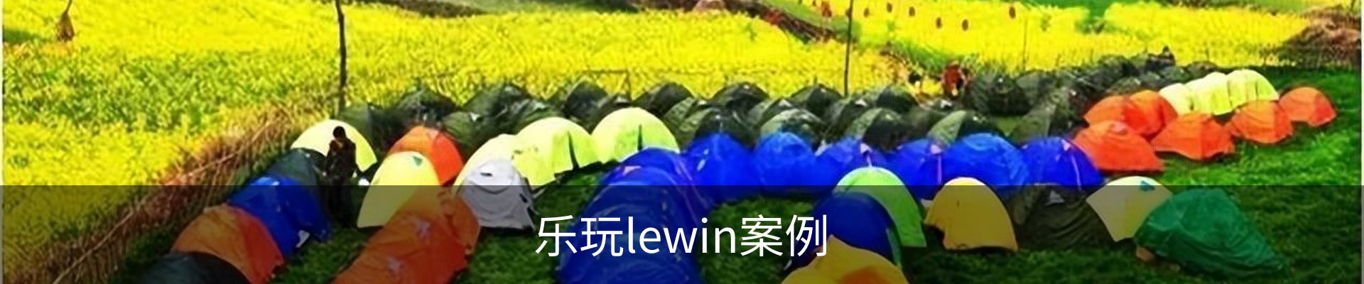 乐玩lewin案例